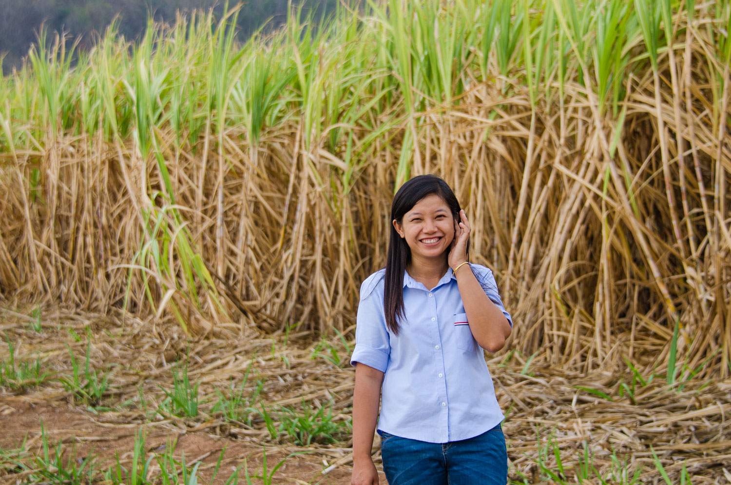 Sugarcane smallholder farmer Chiraphon Rose Bhunpeng, Saraburi province, Thailand. Credit: Joe Woodruff