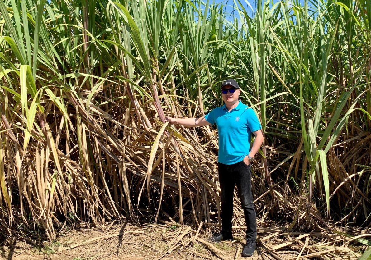 Rick Lyu australia sugarcane field