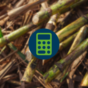 Bonsucro Calculator for Smallholder Farmers