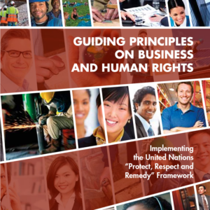 United Nations Guiding Principles on Business & Human Rights (UNGPs)