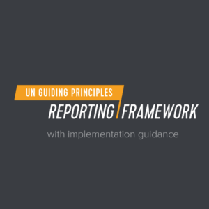 UNGPs Reporting Framework