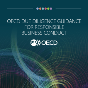 OECD Due Diligence Guidance for Responsible Business Conduct