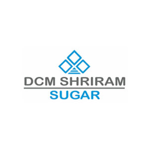 DCM Shriram logo