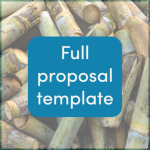Bonsucro Impact Fund - full proposal template