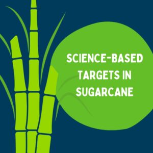 Setting science-based targets in sugarcane