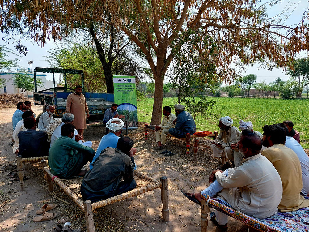Sugarcane smallholder farmers training, as part of the project ‘Promoting sustainable sugarcane production among smallholders of Pakistan’, run by WWF Pakistan and Shakarganj Ltd and supported by the Bonsucro Impact Fund. Jhang district, Punjab province, Pakistan. Credit: WWF Pakistan